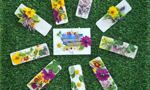 6271330D-2BFD-4079-8E03-A145677CF395 Elisa Mander