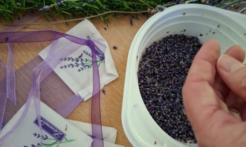 Elisa Yolima Mander - 347c3046-3ba1-4fdf-8f64-327fca1e21e3