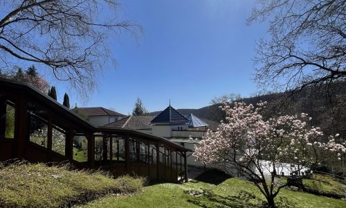 IMG_3850 Elisa Mander