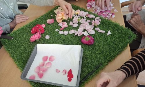 d9b89de5-3042-45e9-bc9f-2d59a9e3a0b8 Elisa Yolima Mander